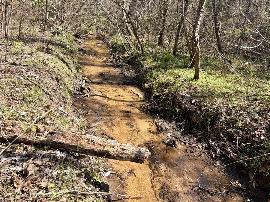 Sawyer Lane Hunting and Timber Tract