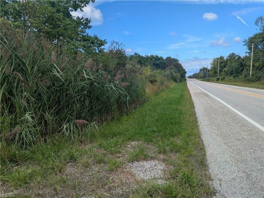 Saybrook I-90 / SR 45 Interchange Commercial Development Site - 36 acres Vacant Land