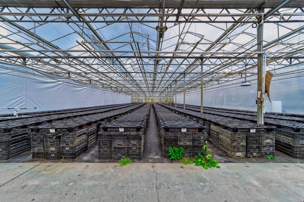 Arcata Greenhouses