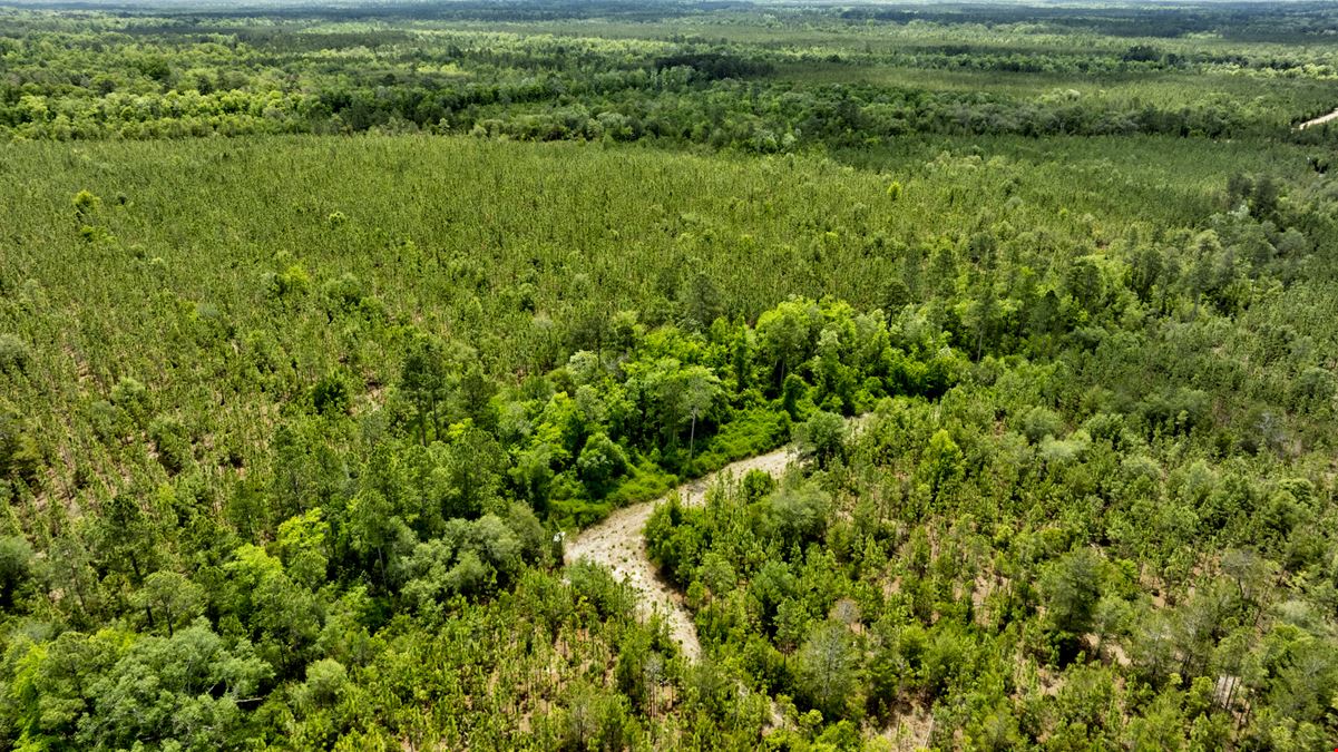 Timber Ridge Farm - Timberland Package