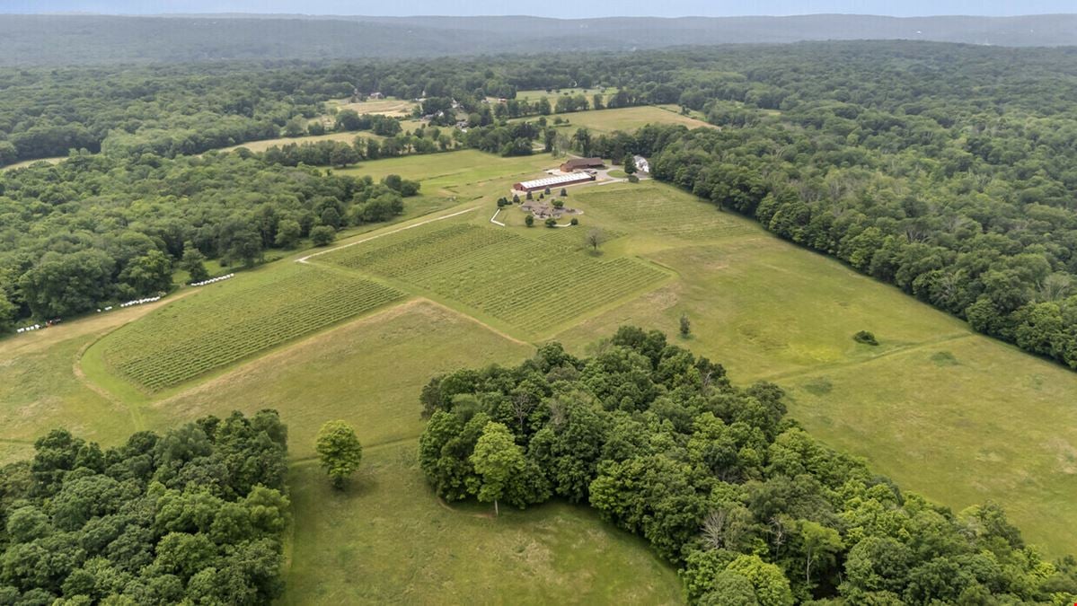 Connecticut Winery + Residence on 137 Acres