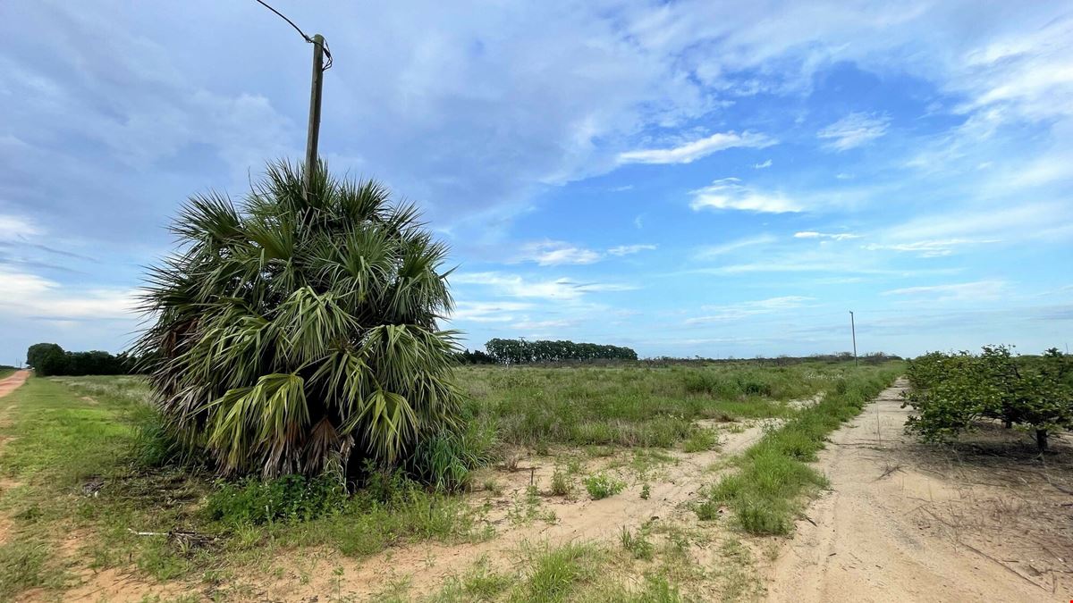 Lake Bella Road Transitional Land