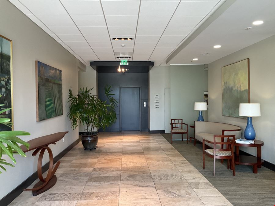 South Tampa Professional Office