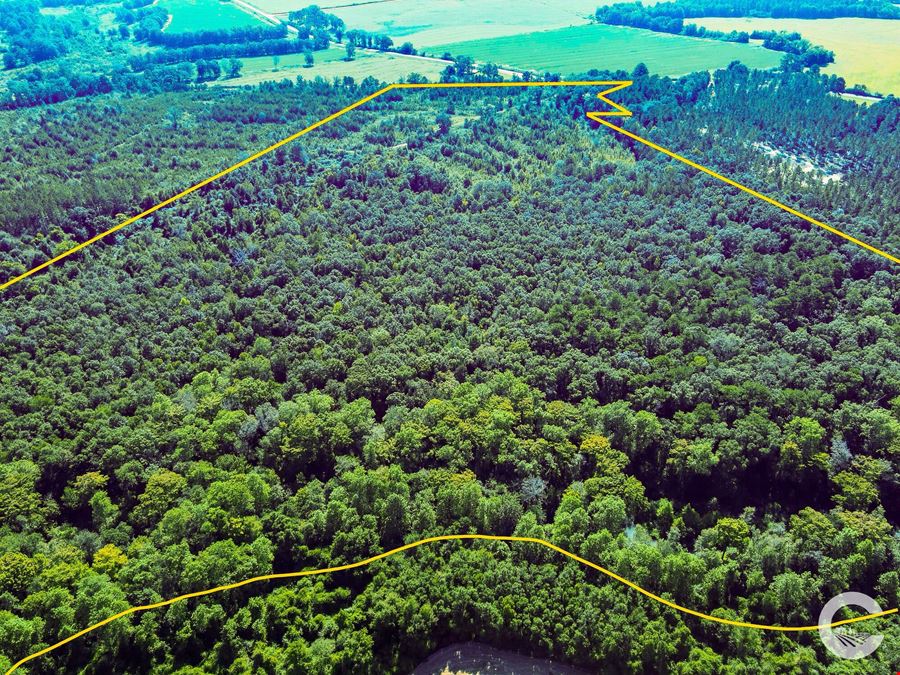 61 +/- Acres AG Land / Homesite in Columbia, AL