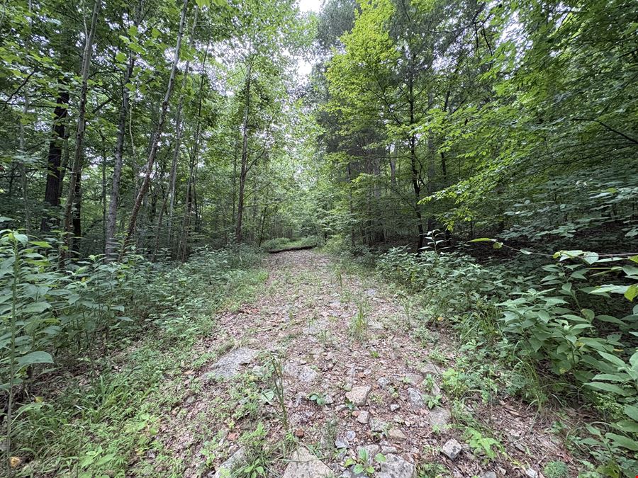 152.86± Acre Land Assemblage - Knox Ln & Beech St, Clarksville TN