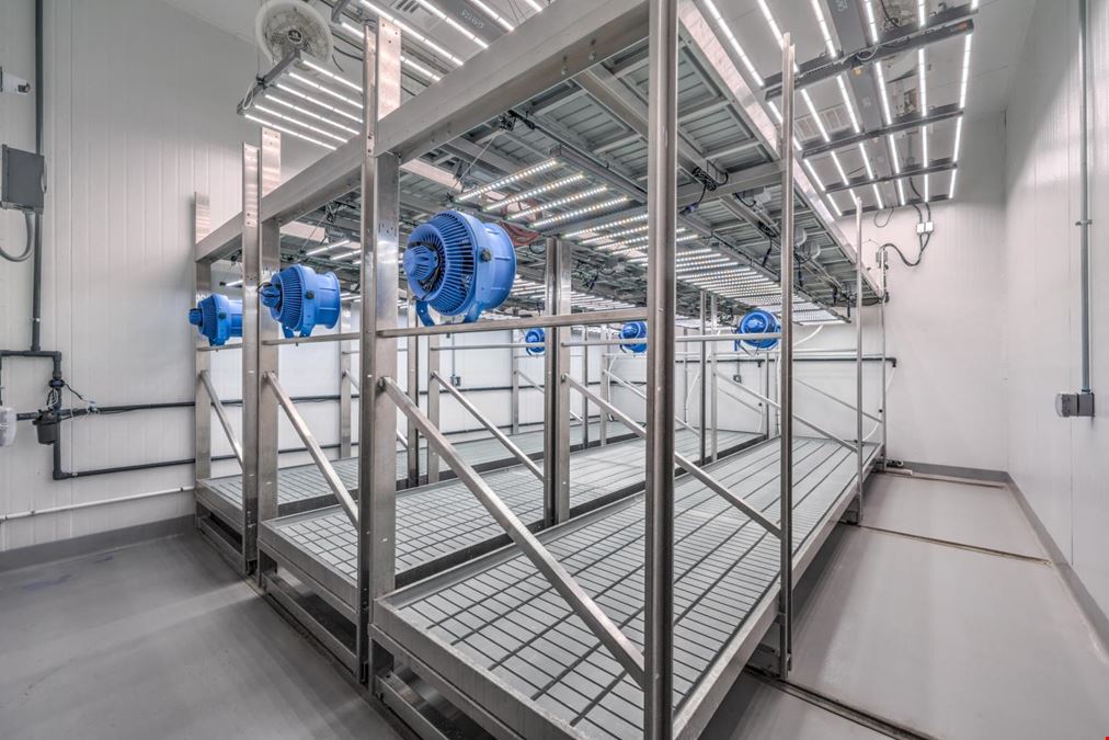 Turnkey - Premier Cannabis Cultivation Facility