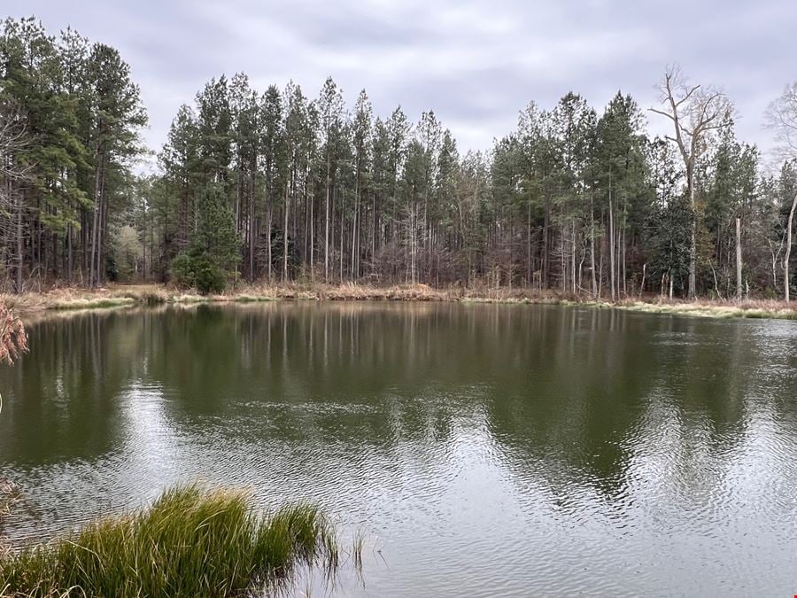 89 Acres in Early County, GA : Riverfront Property with Cabin and Outstanding Hunting Land