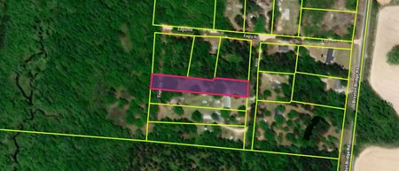 Preview of VacantLand space for Sale at 0 Broxton Bridge Hwy