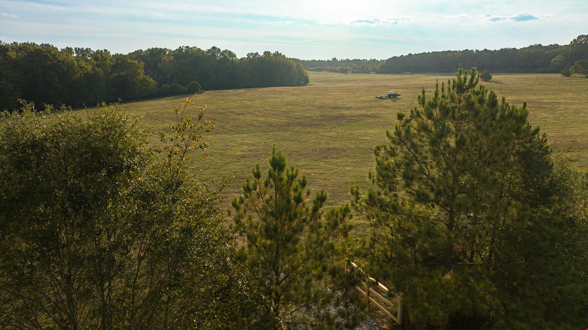 Ashor Farms