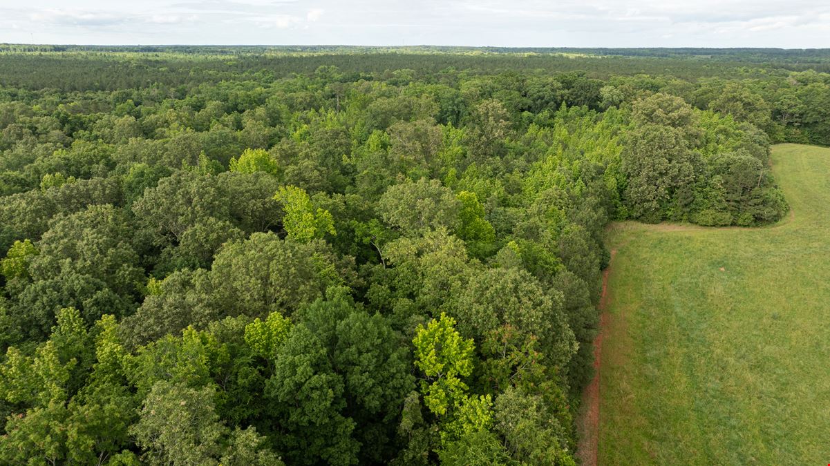 Bush River Ranch | Lots 33-36