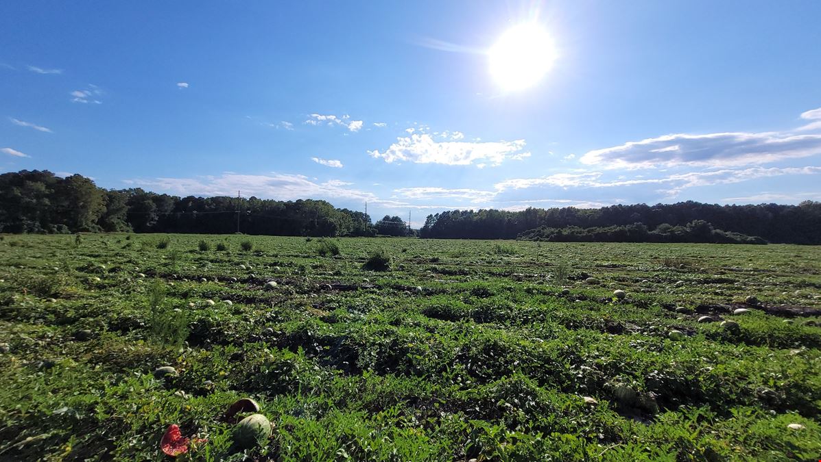 9.51 Acre Parcel off American Legion Road