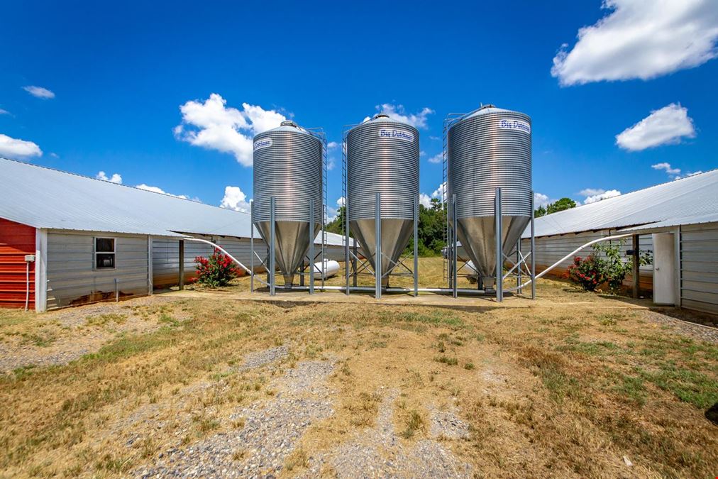 Mena AR Broiler Chicken Farm