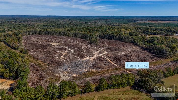 ±116.15-Acre Tract for Sale - 35 Minutes to Downtown Greenville