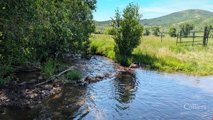 Stauffer Creek Ranch