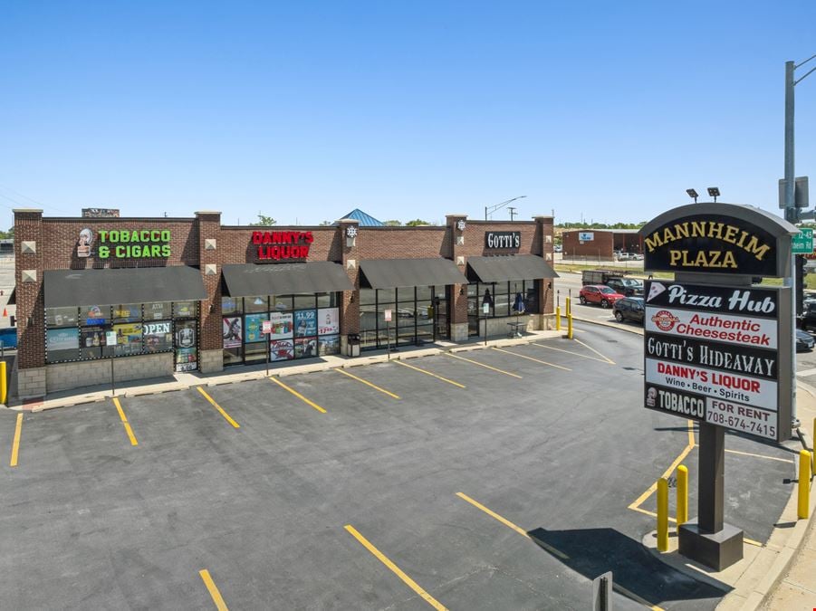 Mannheim Plaza