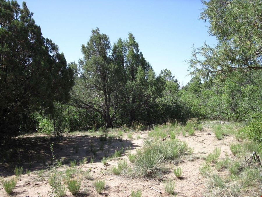 16 Roadrunner Rd