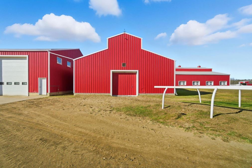 World-Class Equestrian in Central Alberta (Canada)