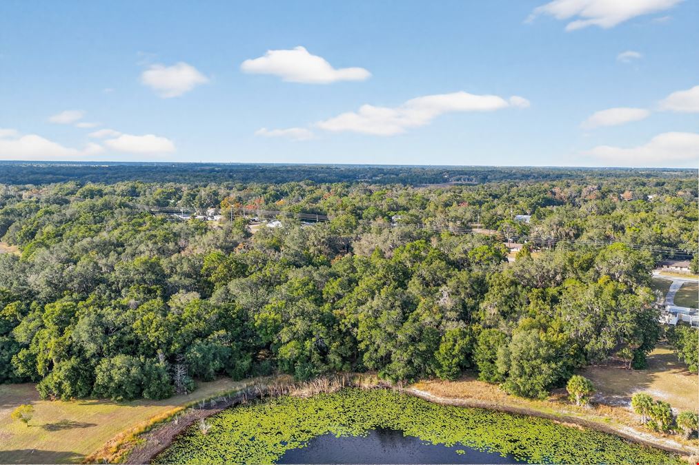 Fruitland Park  Development Land