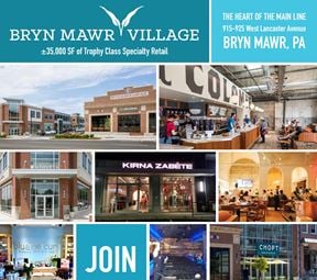 Bryn Mawr Village