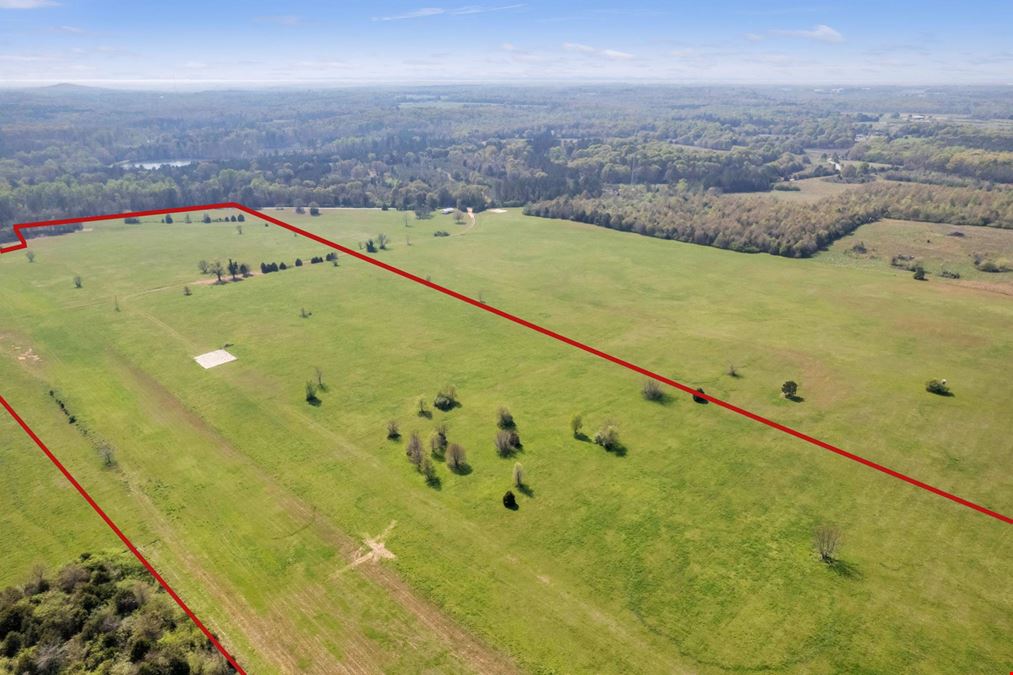 65 Acres with Former Grass Airstrip in Gray Court