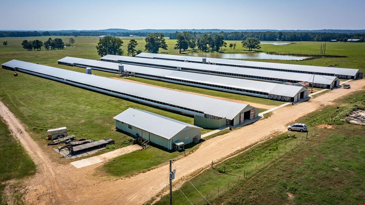 Hope Arkansas Chicken Farm