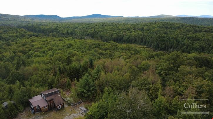770± Acres of Undeveloped Forest