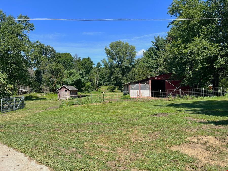 11 Acre Farm for Sale in Pinckney