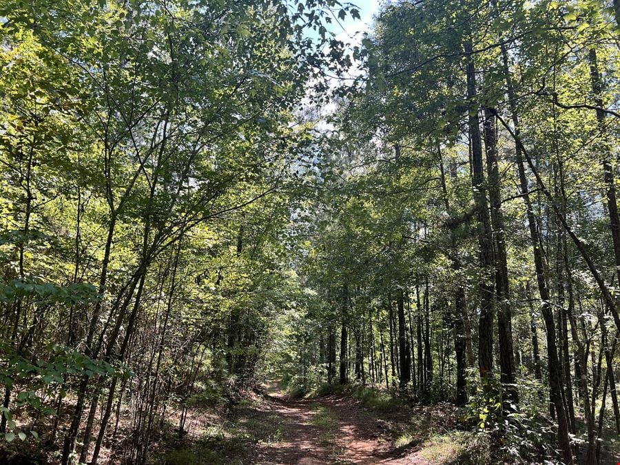 Partridge Creek 245