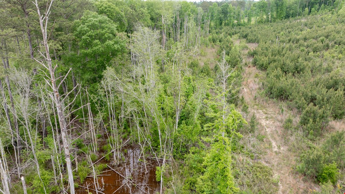 Buck Creek Hunting Property