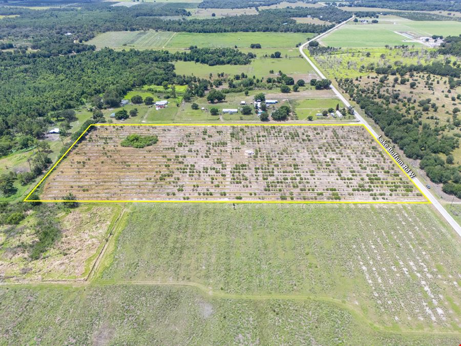 West Lake Buffum Acreage