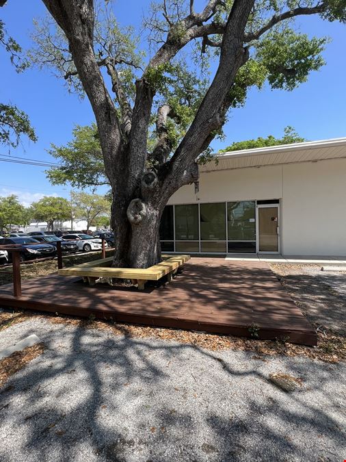 Retail Investment Multi Tenant Strip Center Clearwater