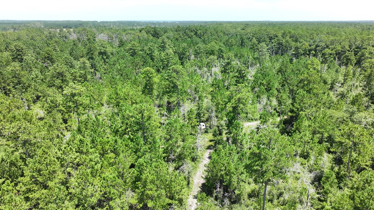 430 Development Acres in McIntosh County Georgia