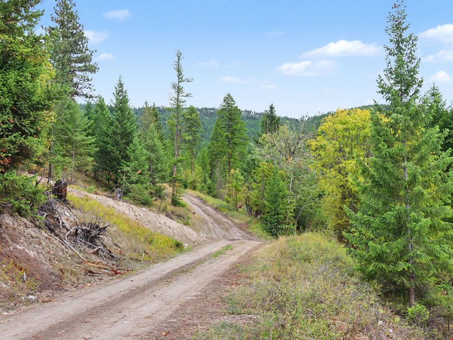 320 Private Wooded Acres West of Kalispell, Montana