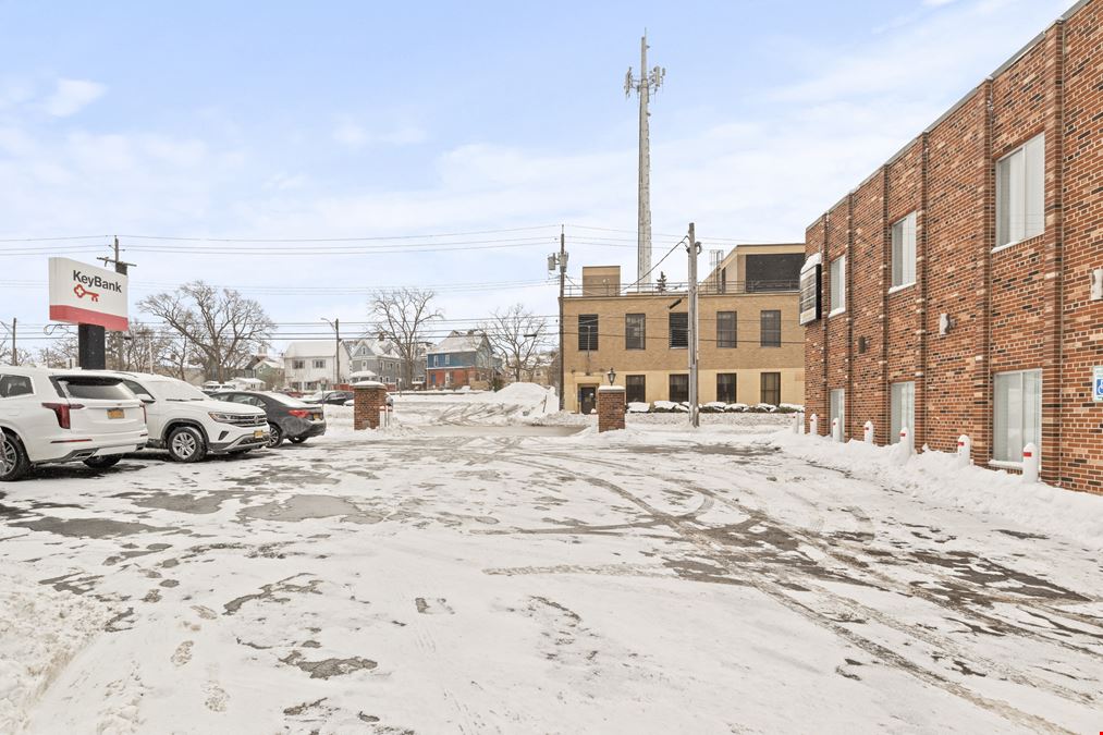 53 Walnut