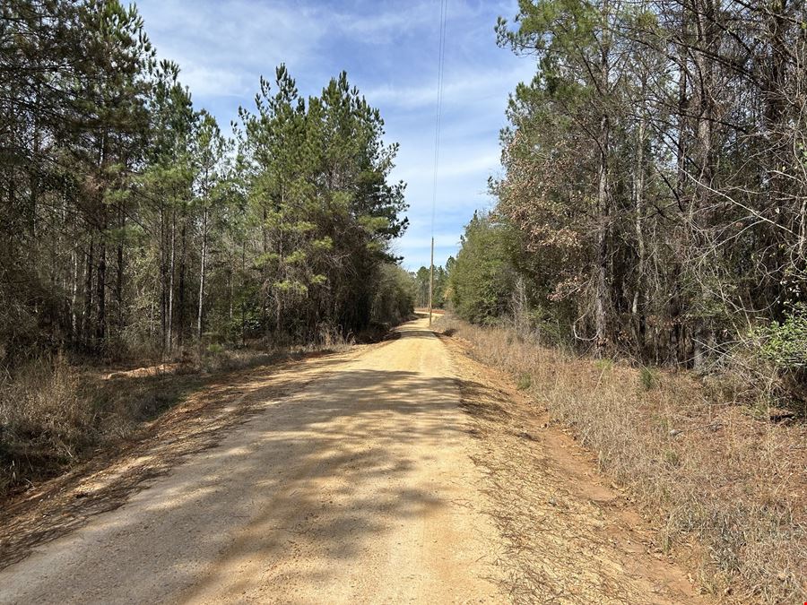 Garland Belmont Tract