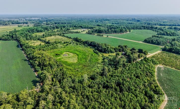 ±46.96-Acre Recreational & Residential Tract | Monetta, SC