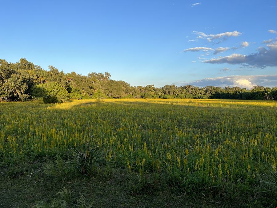 Premier Land Parcel by Sanford's Airport Hub