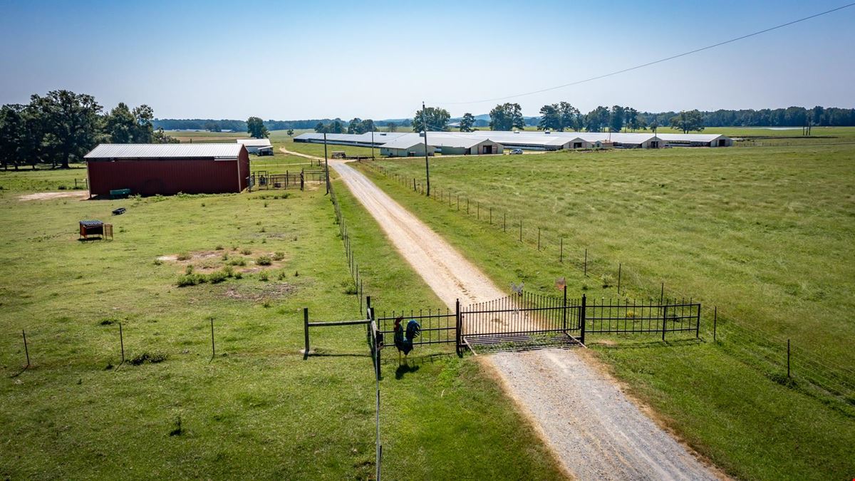 Hope Arkansas Chicken Farm