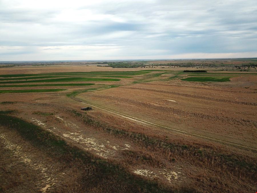 ±240 Acre Hunting and Agricultural Land located in Rooks County, Kansas