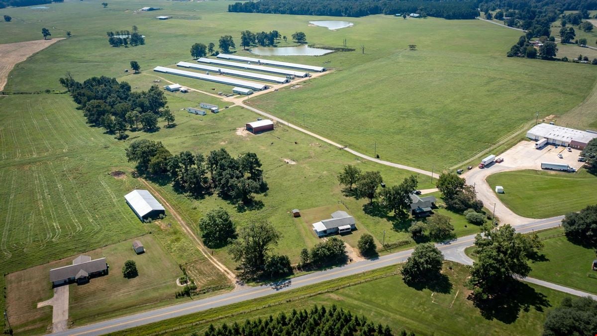 Hope Arkansas Chicken Farm