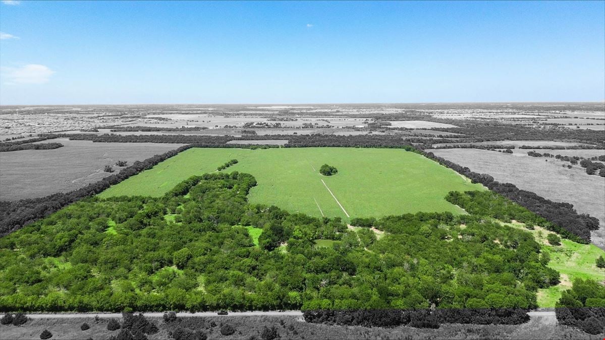 55 Acres for Sale in Royse City, TX