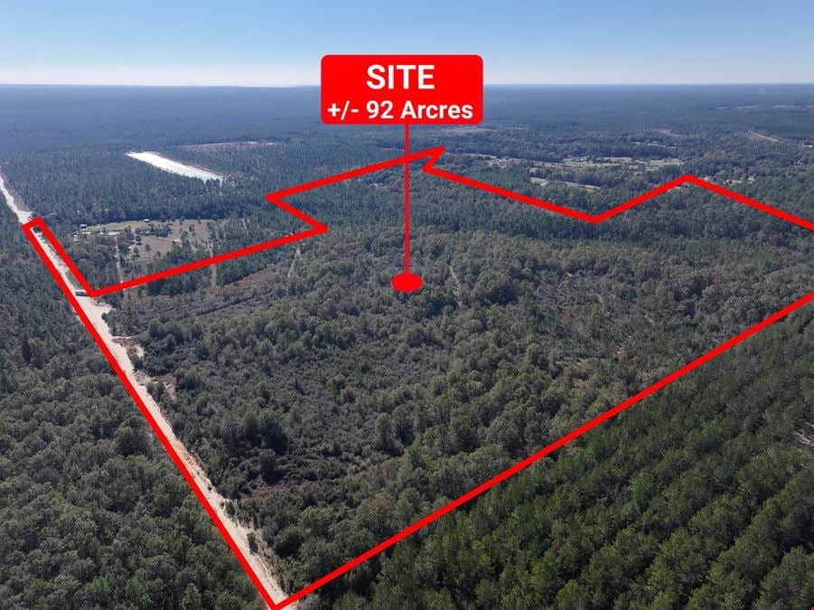 92 Acres in Milton Florida