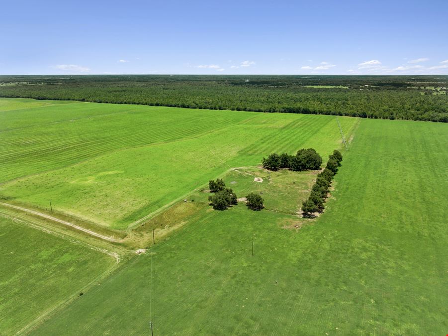 688± Acre Turn Key Farm Operation in Marion County