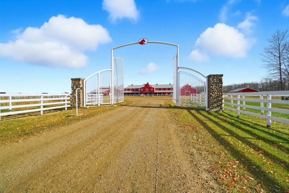 World-Class Equestrian in Central Alberta (Canada)