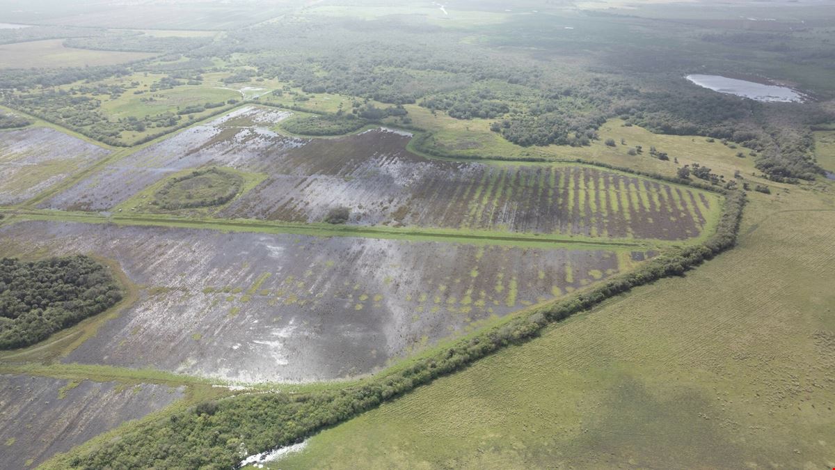 Owl Hammock Farms