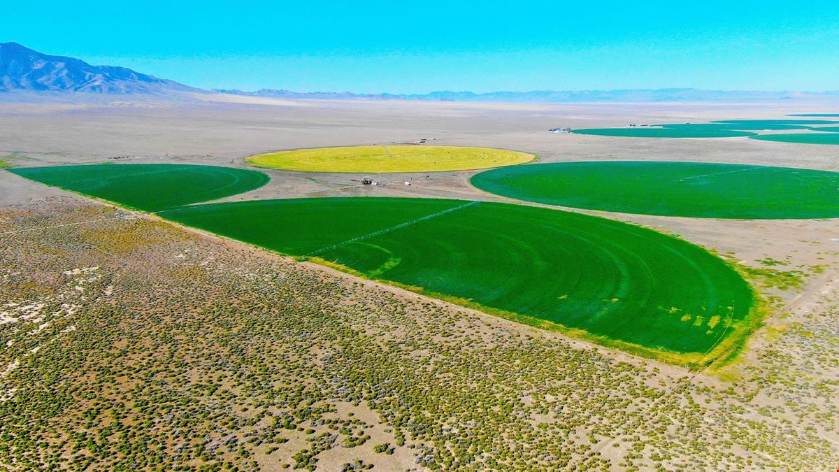 Nye County NV Alfalfa Farm with Pivots, Water Rights