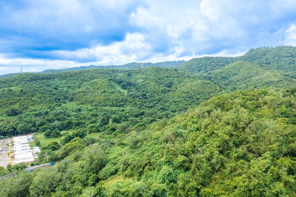 Vacant Lands Consisting 78 Cuerdas with Ocean Views in Ceiba - FOR SALE