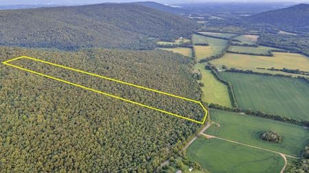 Preview of VacantLand space for Sale at County Road 170