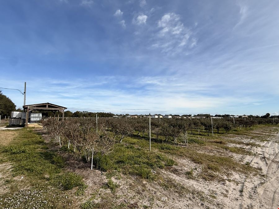 Auburndale US-92 Commercial Land