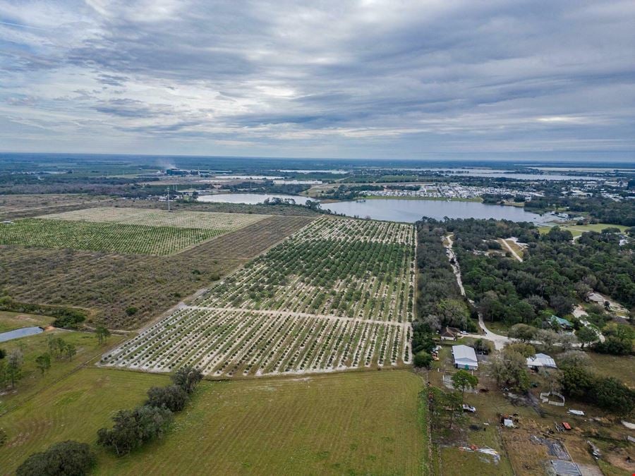 34.3 Acre Grove/ Future Lake front Development  Highlands County FL